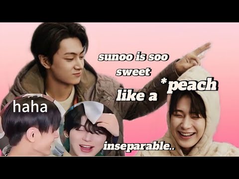 don't put sunoo and jay in one room || sunjay moments