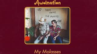AWOLNATION - My Molasses NO VOCAL