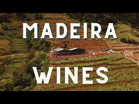 Wine Tasting in Madeira | Blandy's vs Quinta do Barbusano