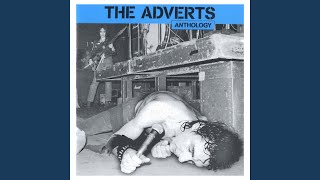 Safety in Numbers (Live)