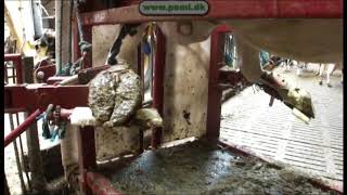 New POMI hoof care box | Image 4 - Agroline