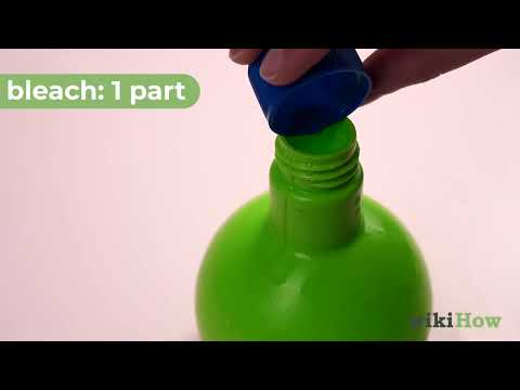 How to Clean an Insulated Lunch Box or Bag