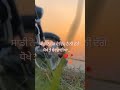 Sharry Maan Punjabi New Song Status Video Status Punjabi Status New 2022 Punjabi Status For WhatsApp