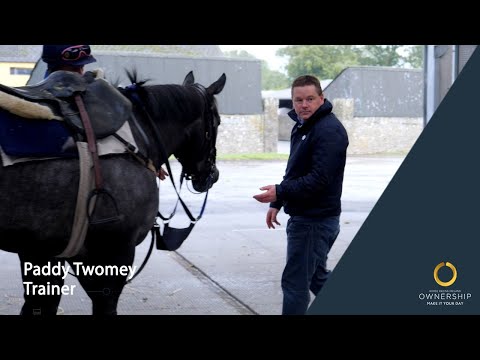 Paddy Twomey, Trainer