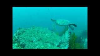 preview picture of video 'Ayangue El Pelado - Ecuador Tortuga Divers Dive Center'