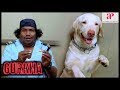 Gurkha 2019 Movie Comedy Scene Yogi Babu Ravi Mariya Charle Aadukalam Naren Tamil Comedy