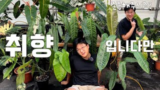 가든킹의 은밀한 (식물) 취향