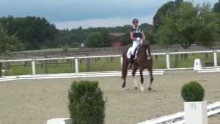 Video of For Comtess Royal NG