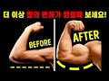 팔! 더 커질수 있습니다!(슈퍼세트+드랍세트)