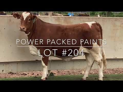 Power Packed Paints - J&J Cattle Co