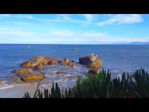 Dream Sound Masters - In My Skin ( Official Video )