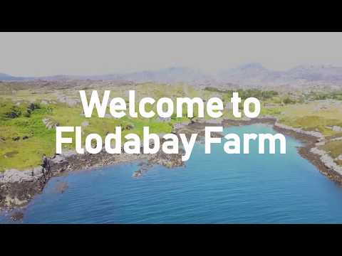 Flodabay Farm B&B & Motorhome Park / Isle of Harris
