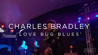 Charles Bradley: 'Love Bug Blues' SXSW 2016 | NPR MUSIC FRONT ROW