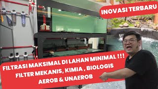 MEGATANK DENGAN FASILITAS TERLENGKAP SELAMA PELIHARA IKAN PREDATOR - 3 SISTEM FILTRASI SEKALIGUS !!