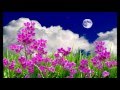 Маєва нічка (May night) -- колискова -- Ukrainian lullaby *** 