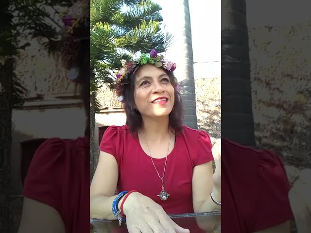 Vídeo relacionado con El cielo de los leones (COL.BIBLIOTECA.BREVE)