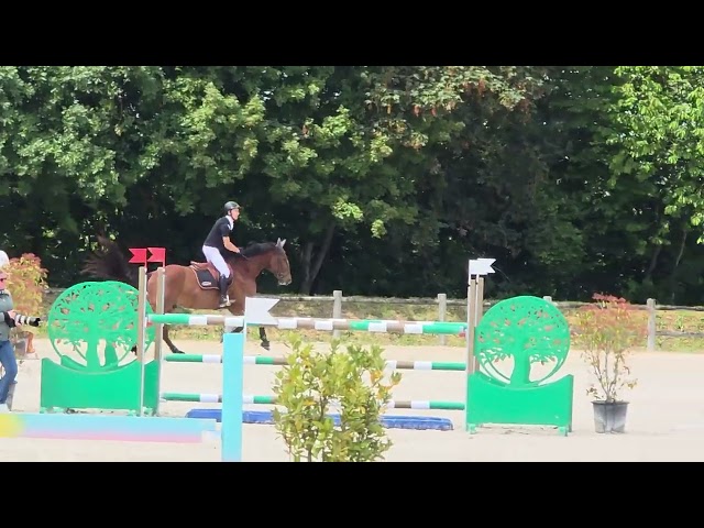 Cheval CSO 