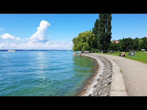 Tauchen im Bodensee - Meersburg, Krebsgarten