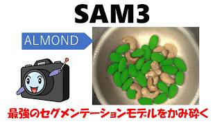 SAM3の中身をかみ砕いて解説