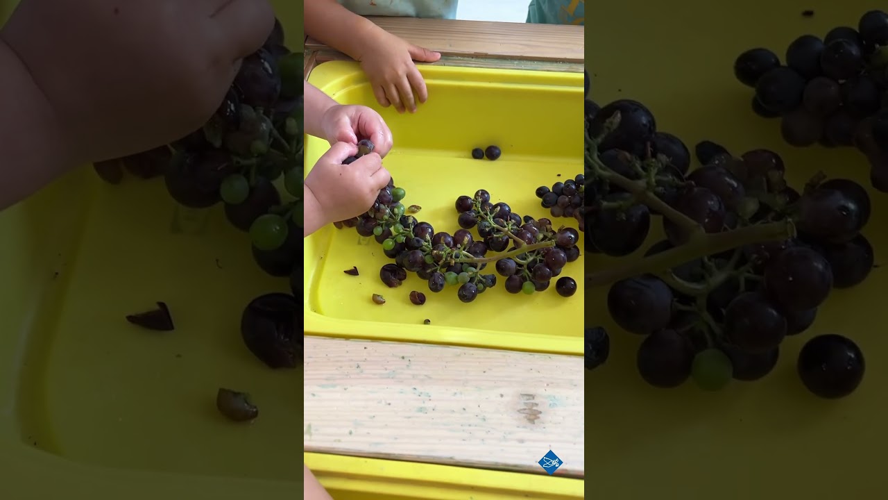 🐝👧🏼Βρεφικό τμήμα - Messy play