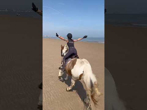 beach riding (and falling😭) #horse #horses #horseriding #equestrian #pony #horsefan #horsegirl
