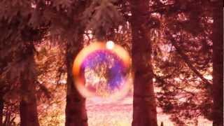 Reuben Halsey - Coming Home (Video)