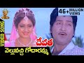 Velluvachi Godaramma Vellakila Paddadammo | Songs | Devatha | Shobhan Babu | Sridevi Velluvachi Godaramma Vellakila Paddadammo | Songs | Devatha | Shobhan Babu | Sridevi