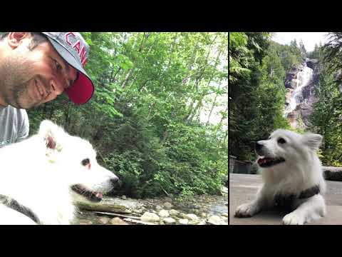 Ehsan & Lucky in squamish 2019