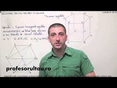 exercitii prisma regulata - profesorultau.ro