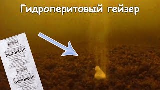 Как называется приманка для рыб