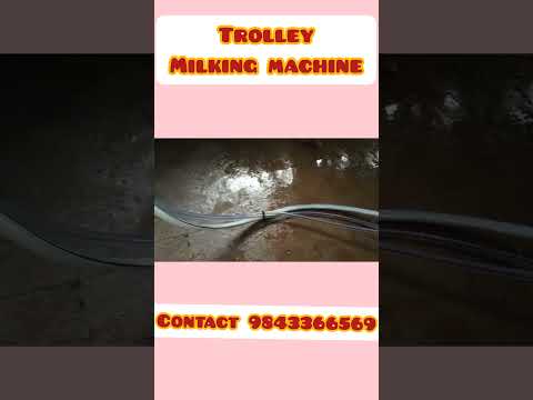 Stainless Steel Trolley Milking Machine