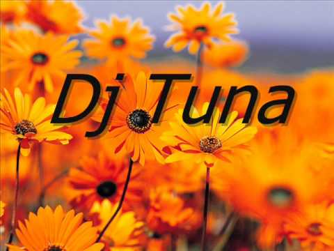Julian Guarque - Xtra (Dj Tuna remix).wmv