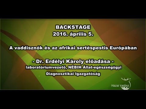 , title : 'Backstage - NÉBIH Konferencia - prof. dr. Erdélyi Károly előadása'
