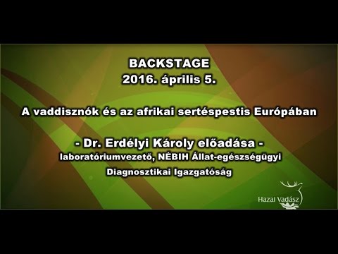 A lehelet szaga parazita - Okozhatja-e emésztési probléma a rossz leheletet?