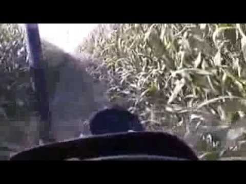 Preparazione Strade Rotolone con NH L65