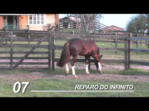 REPARO full VImeo HD