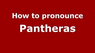 How to pronounce Pantheras