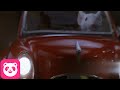 Stuart Learns The Truth Stuart Little S Fake Parents Confess Michael J Fox Bruno Kirby