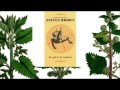 Steven Brown Flight