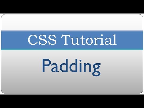 Css Tutorial 9 Padding