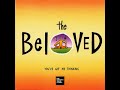 The Beloved - You've Got Me Thinking (LYRICS)