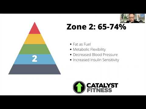 Heart Rate Zones and Training: Zone 2