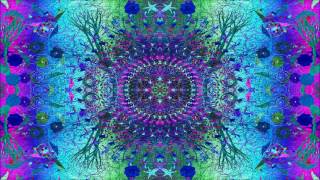 Organic Noise ~ Labyrinth Of Colours ᴴᴰ