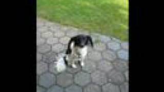 Eine Liebe die nie endet!