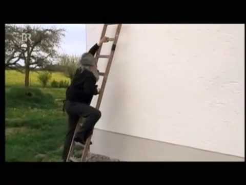 Resi ist verschwunden - Die Komiker