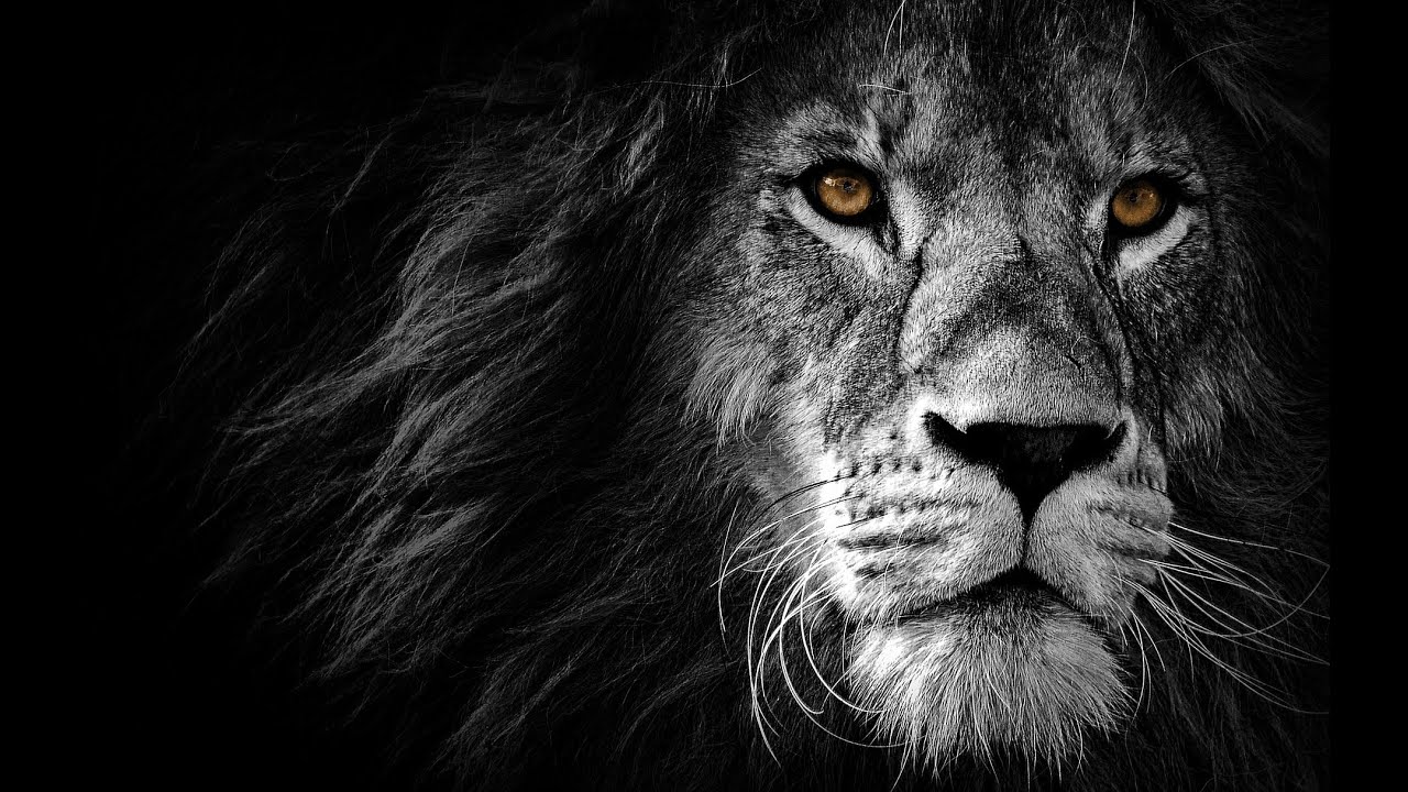 Reprogramação interior por Helio Couto Vencedor#heliocouto #pnl