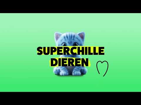 Super Chill - Meditatie voor kinderen - Superchille dieren