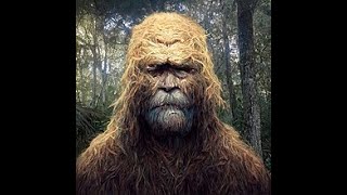 Download lagu Valley of the Sasquatch HD mp3