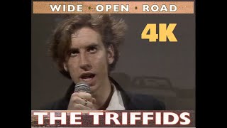The Triffids - Wide Open Road - Original Video (1986) 4K [UHD] Remaster