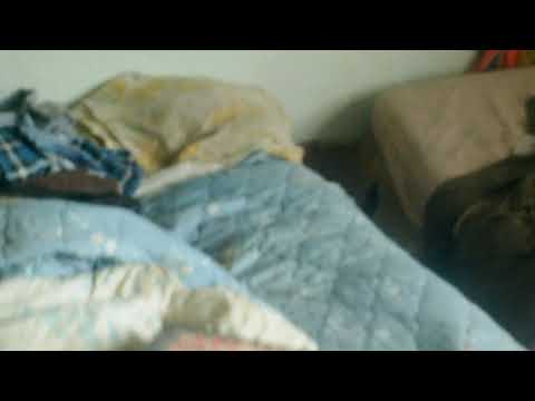 Abandoned North Iowa Lonely House